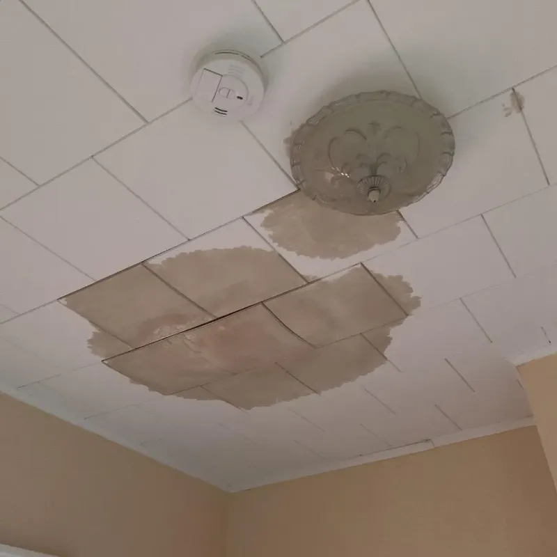 Ceiling Water Damage Repair in Kingsley, IA