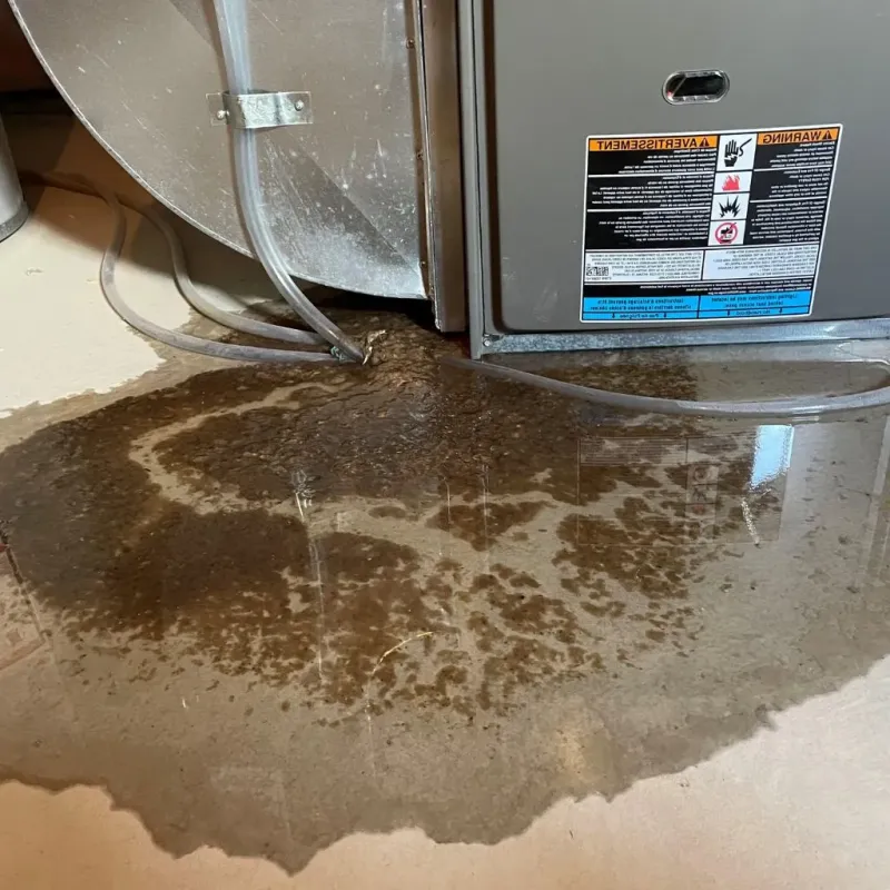 Pipe Burst and Leak Restoration in Kingsley, IA