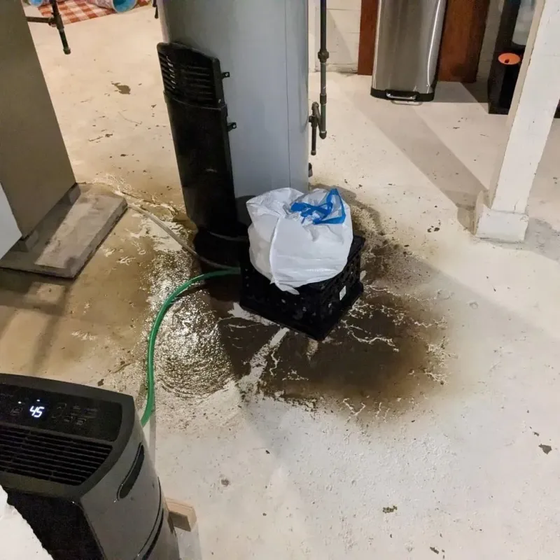 Sewage Backup Cleanup Service in Kingsley, IA